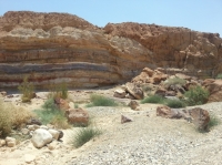 negev Woestijn Israel